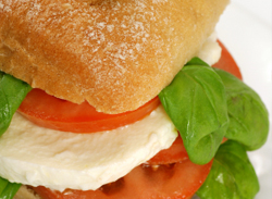 Tomato and Mozzarella Sandwich 
